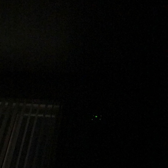 Meet your Posher, Leonna - Picture 1 of 1